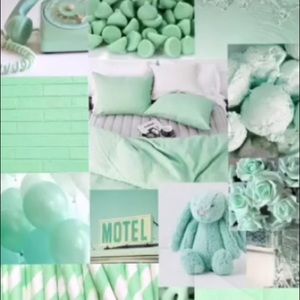 Meet your Posher, Carly